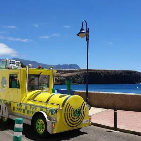 Peces De Galdar Sardina